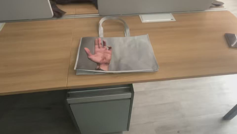 HAND + LUNCH BAG